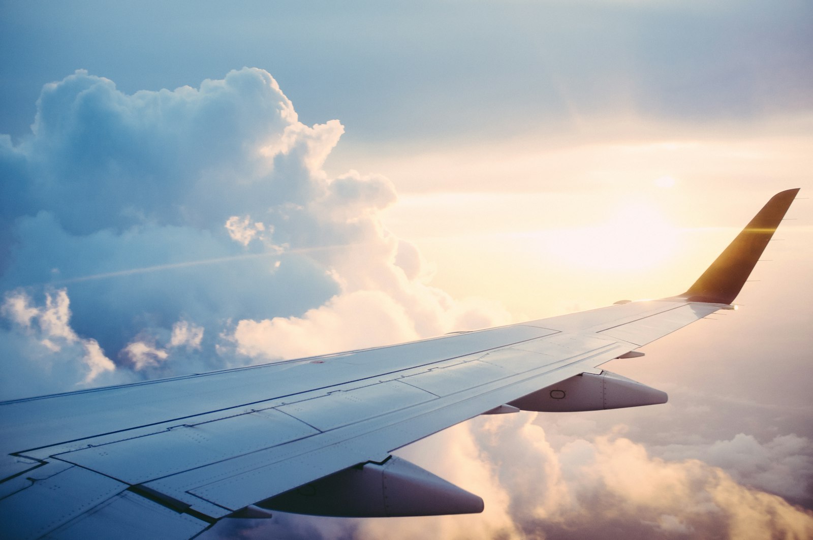 Flight Bookings
